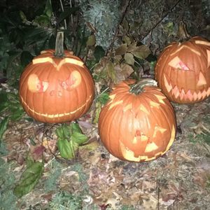 Meet your Posher, Milk